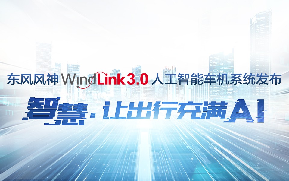 WindLink3.0˹ܳϵͳ